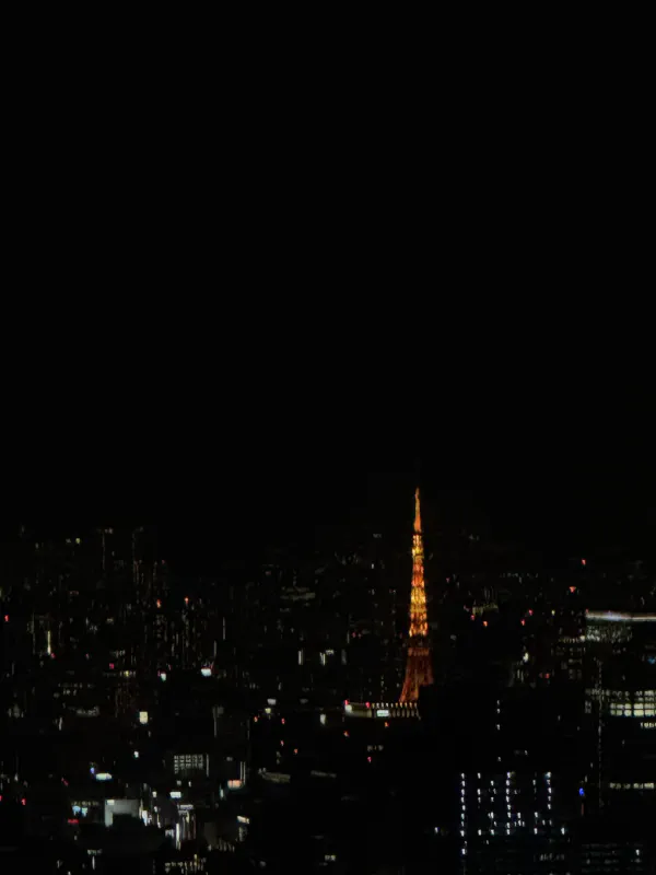 Tokyo Tower, from Tokyo Skytree