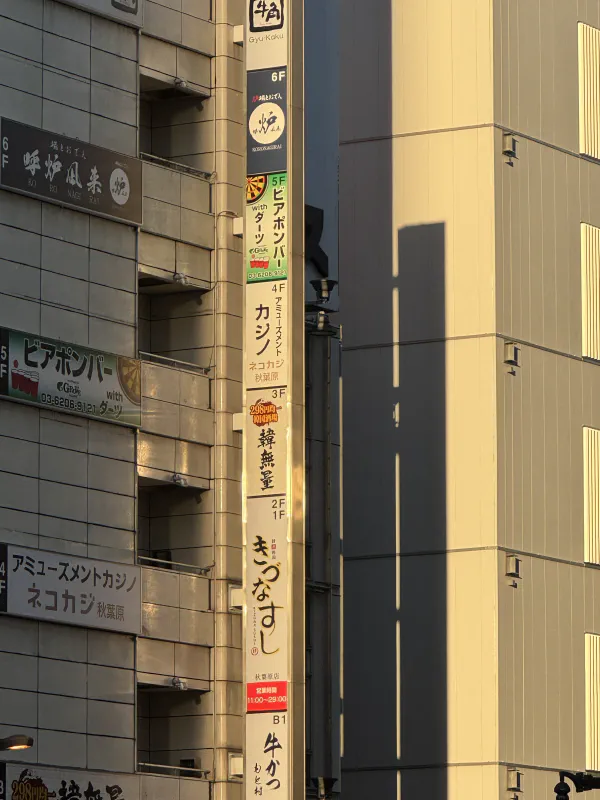 Walking towards Akihabara district