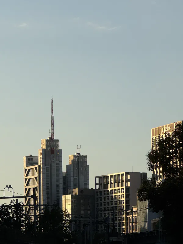 Japan being photogenic at this point